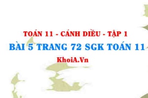 Bài 5 trang 72 SGK Toán 11 tập 1 Cánh Diều